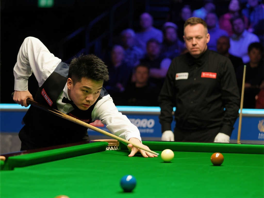 球迷们可以 球迷们可以