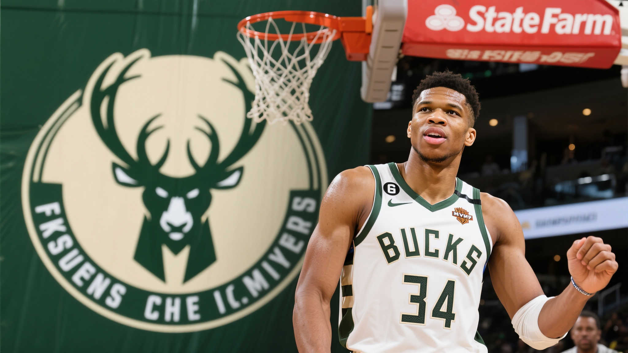 赢得荣誉 赢得荣誉