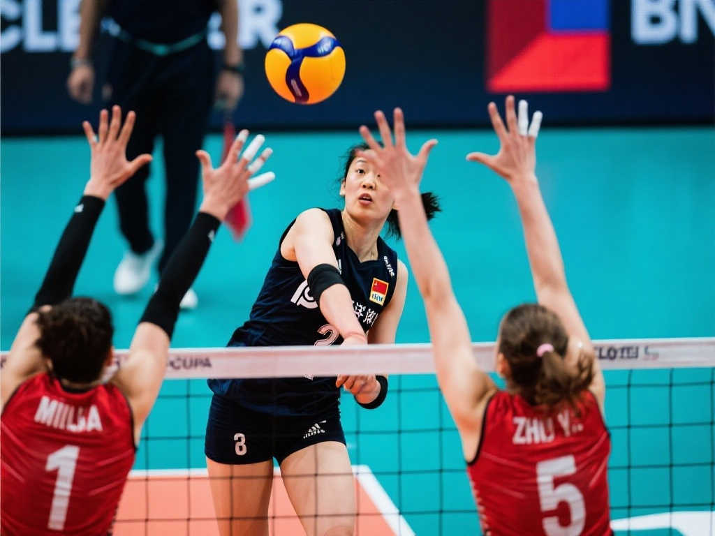 的赛季进程 的赛季进程