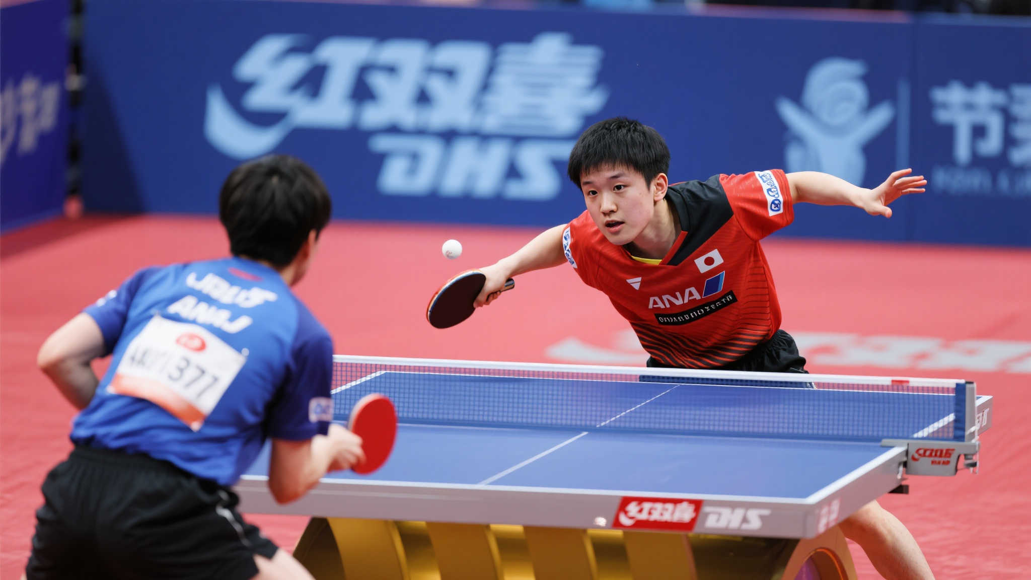 他参与了多 他参与了多