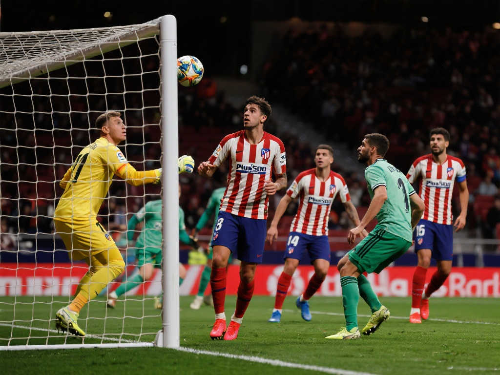 样可以从这 样可以从这